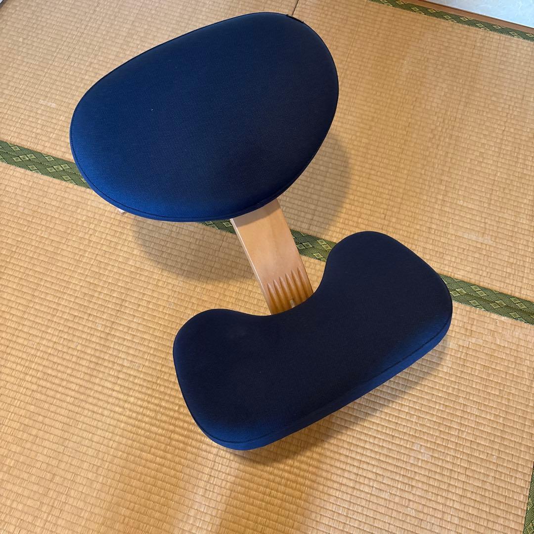 Balance Easy バランスイージー ネイビー