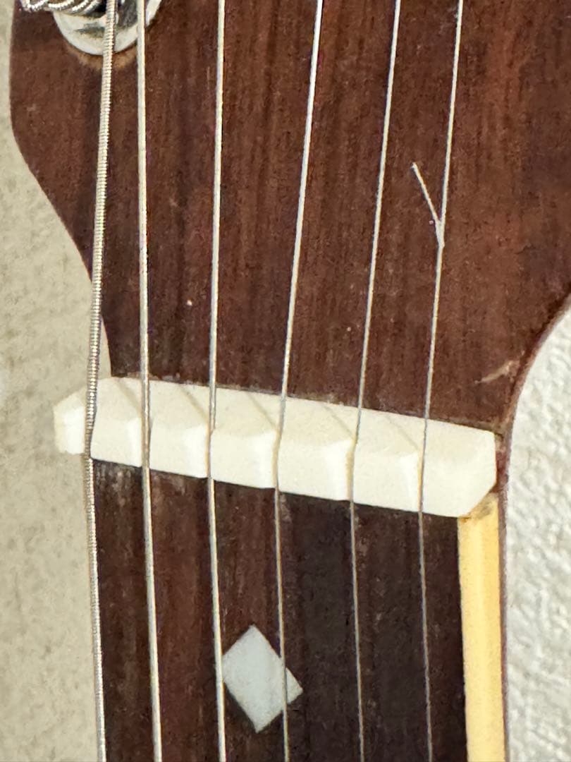 (5) エレアコ Ovation Celebrity CC157 オベーション