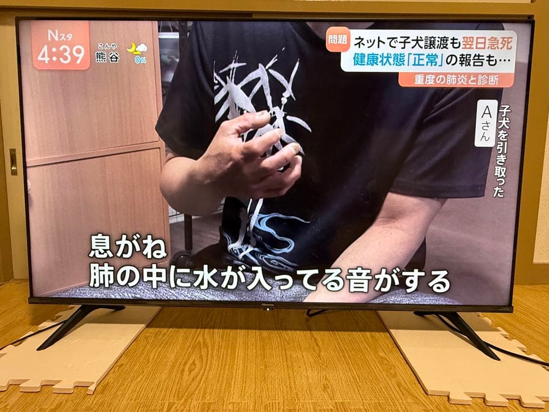 ハイセンス　50A6H 50型2023年製⭕️上地、BS/CS動画可4K液晶テレビ