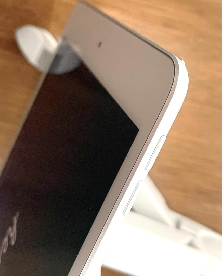 iPad mini 第5世代 Wi-Fi 64GB [シルバー]