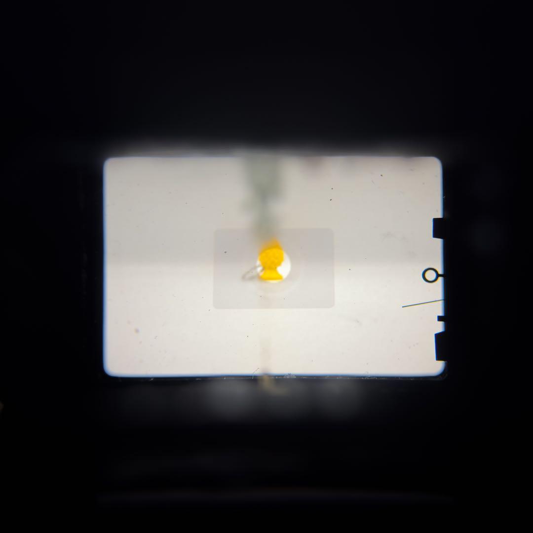 キャノン Canon FTb QL FD 50mm f1.8 動作確認済