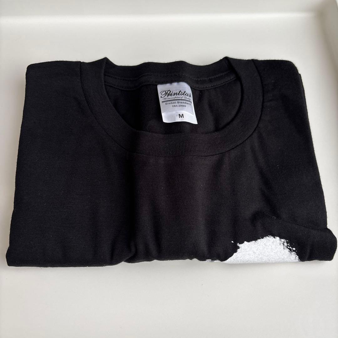 FILMAGE:THE STORY OF DESCENDENTS/ALL BO…