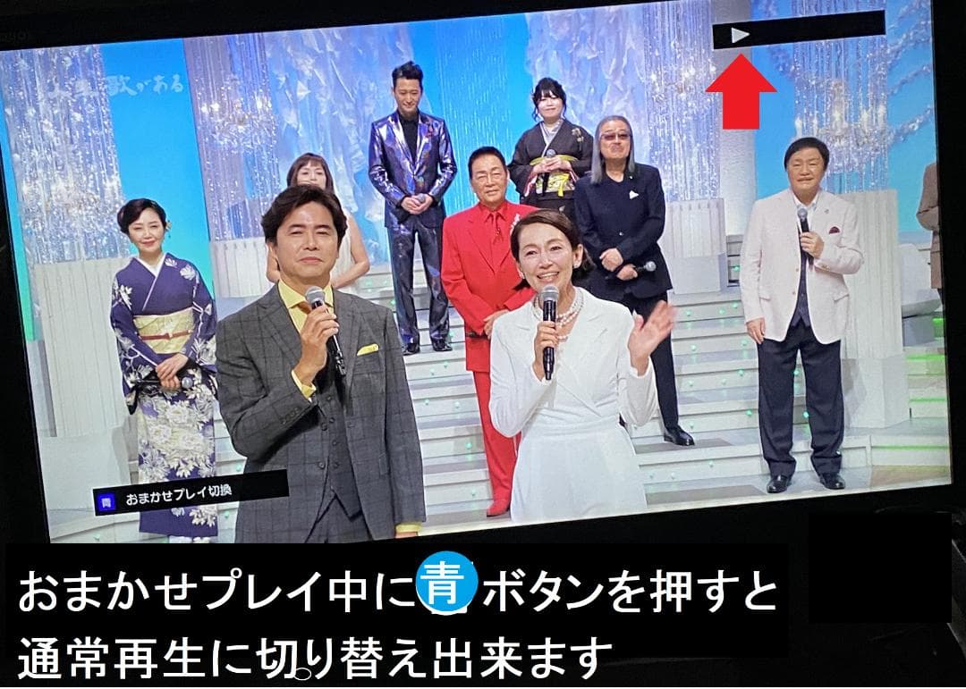 大満足　おまかせプレイリスト　DBR-Z510 14年製