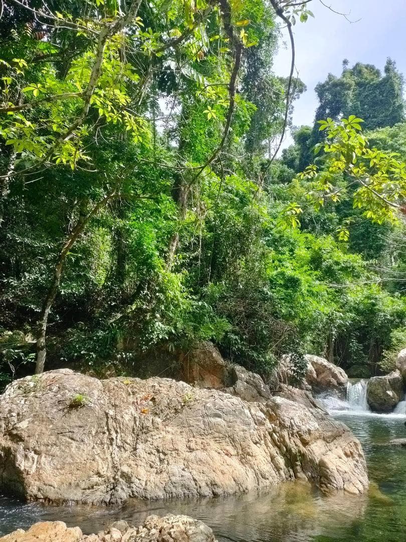 ❇龍の宝珠♎ネックレス♌金龍♋️如意宝珠♉タイのお守り♊プラクルアン✨