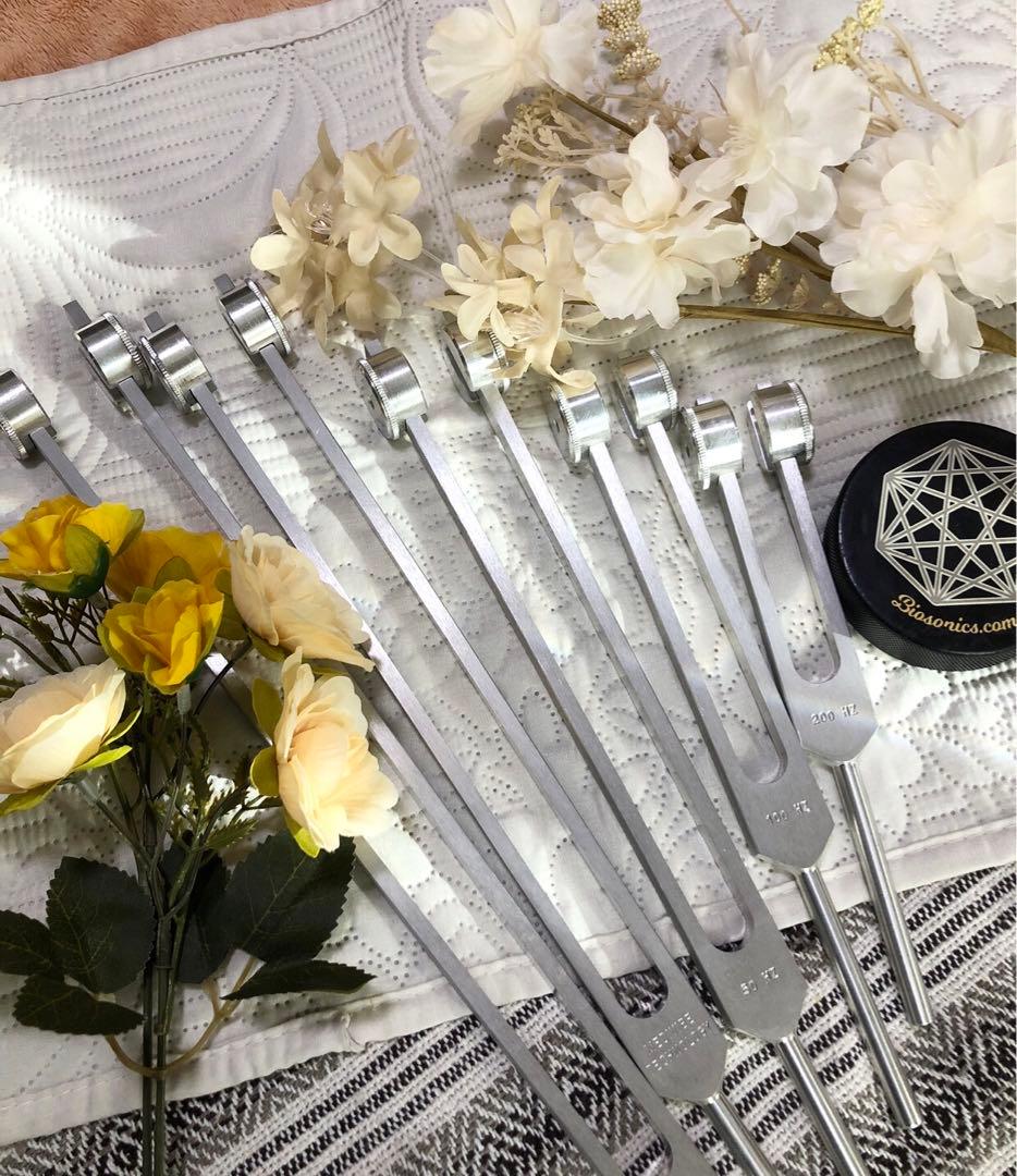 MEDIVIBE社 ボーンチューナー＋ボーンオーム 音叉 アクティベーター