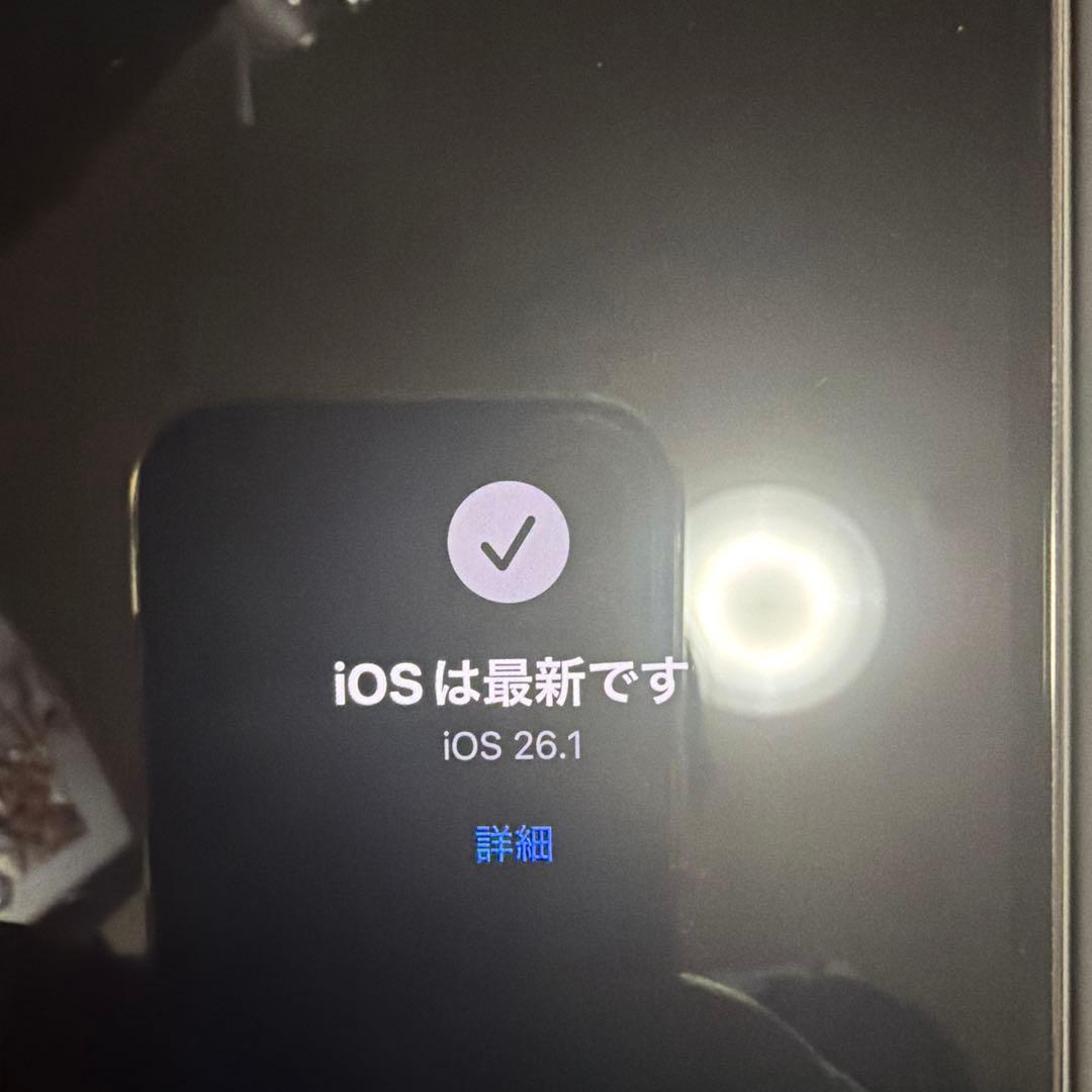 【美品】iPhone13Pro シルバー【値下げしました】