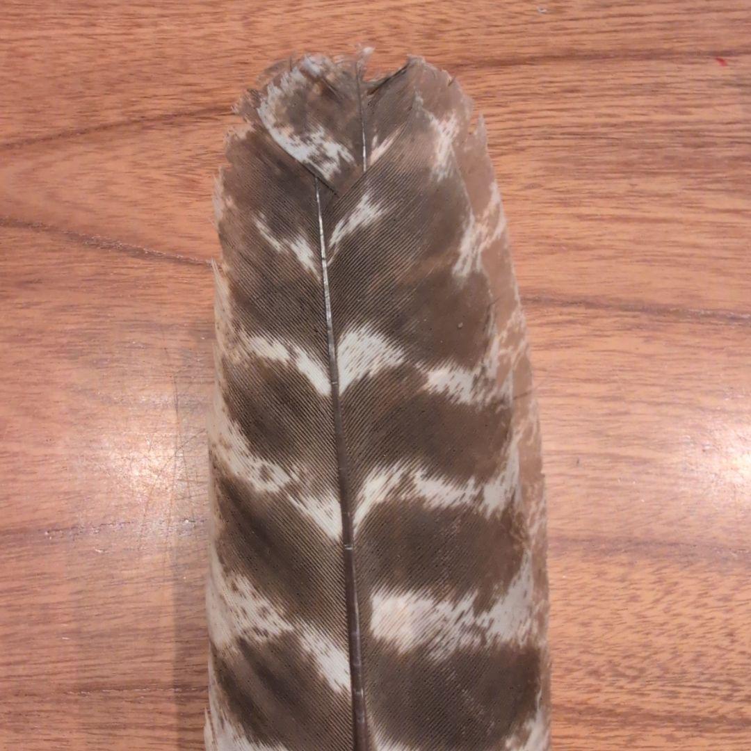 羽箒2点　(1点は未使用 箒博作)