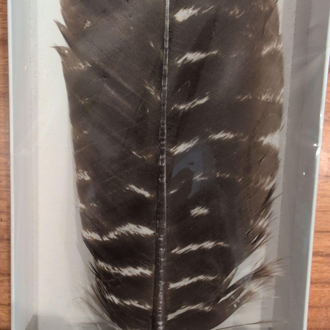 羽箒2点　(1点は未使用 箒博作)