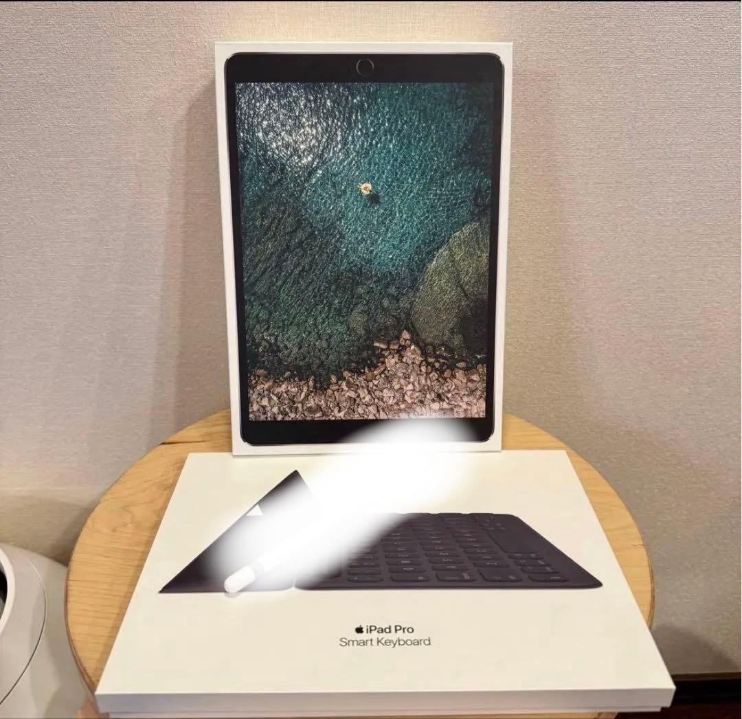 お正月価格iPad Pro 10.5インチ Wi-Fi 256GB