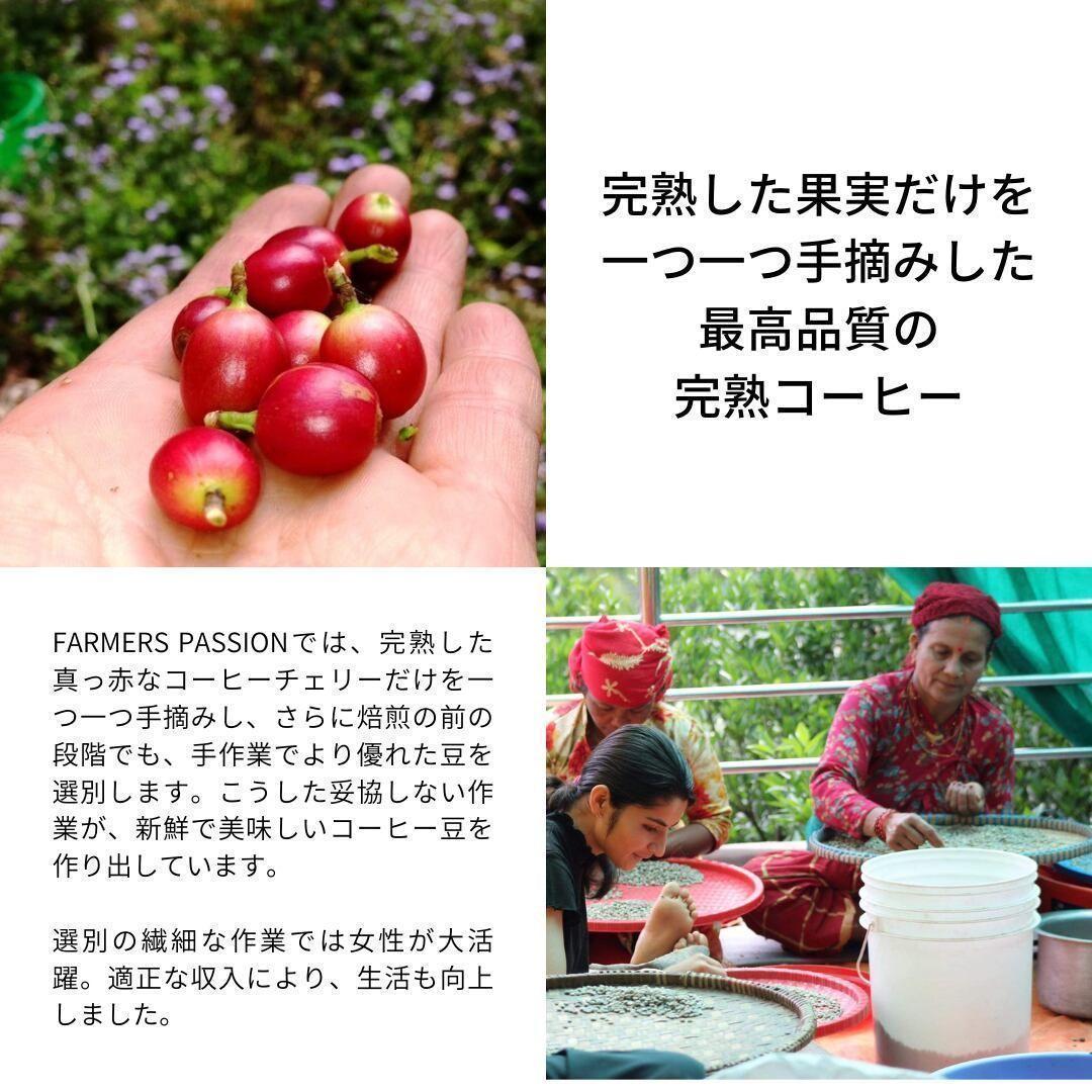 ☆オーガニックコーヒー ダーク フェアトレード 1kg 粉 コーヒー豆 ネパール