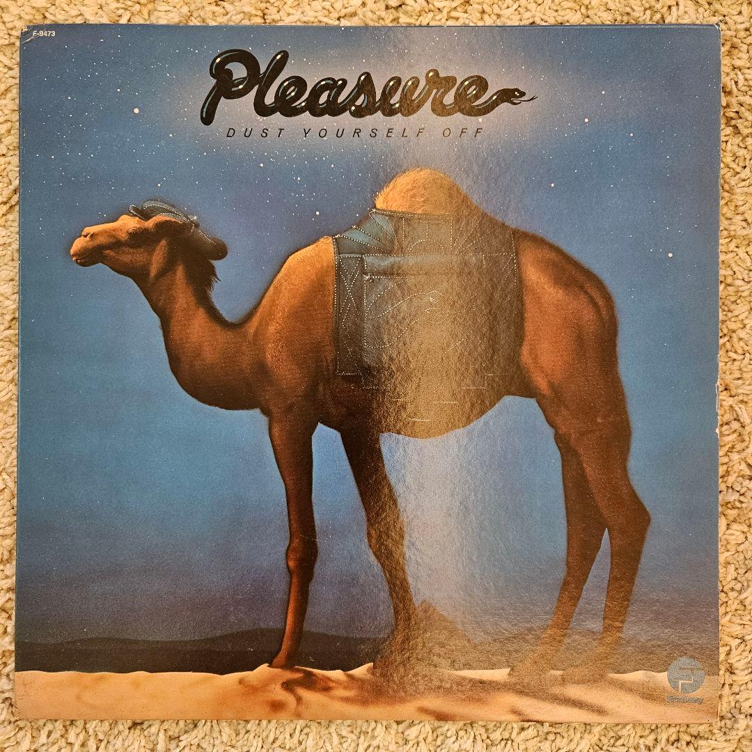 Pleasure Dust Yourself Off レコード lp