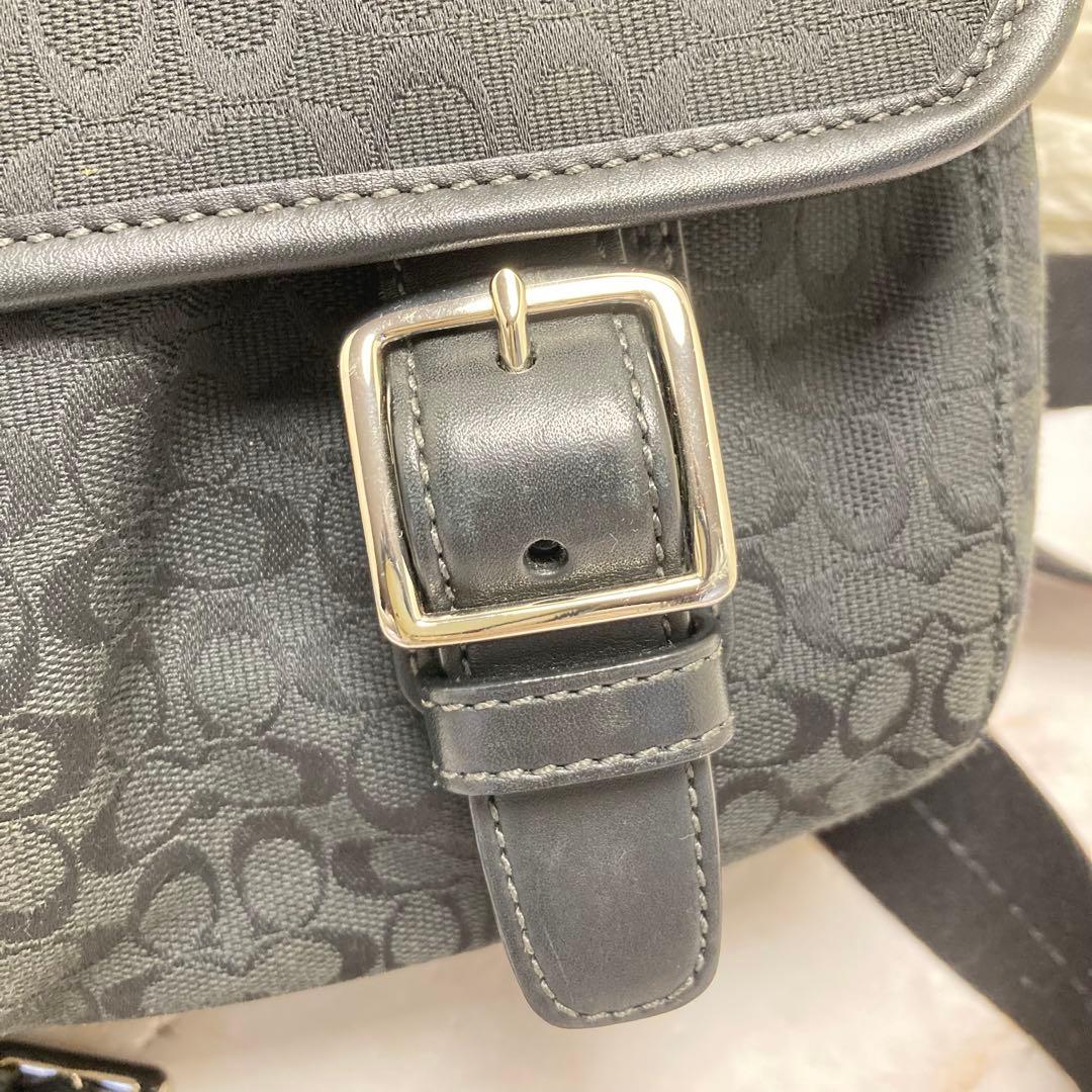 専用です❣️購入しないでください❣️COACH コーチショルダーバッグ　F70283