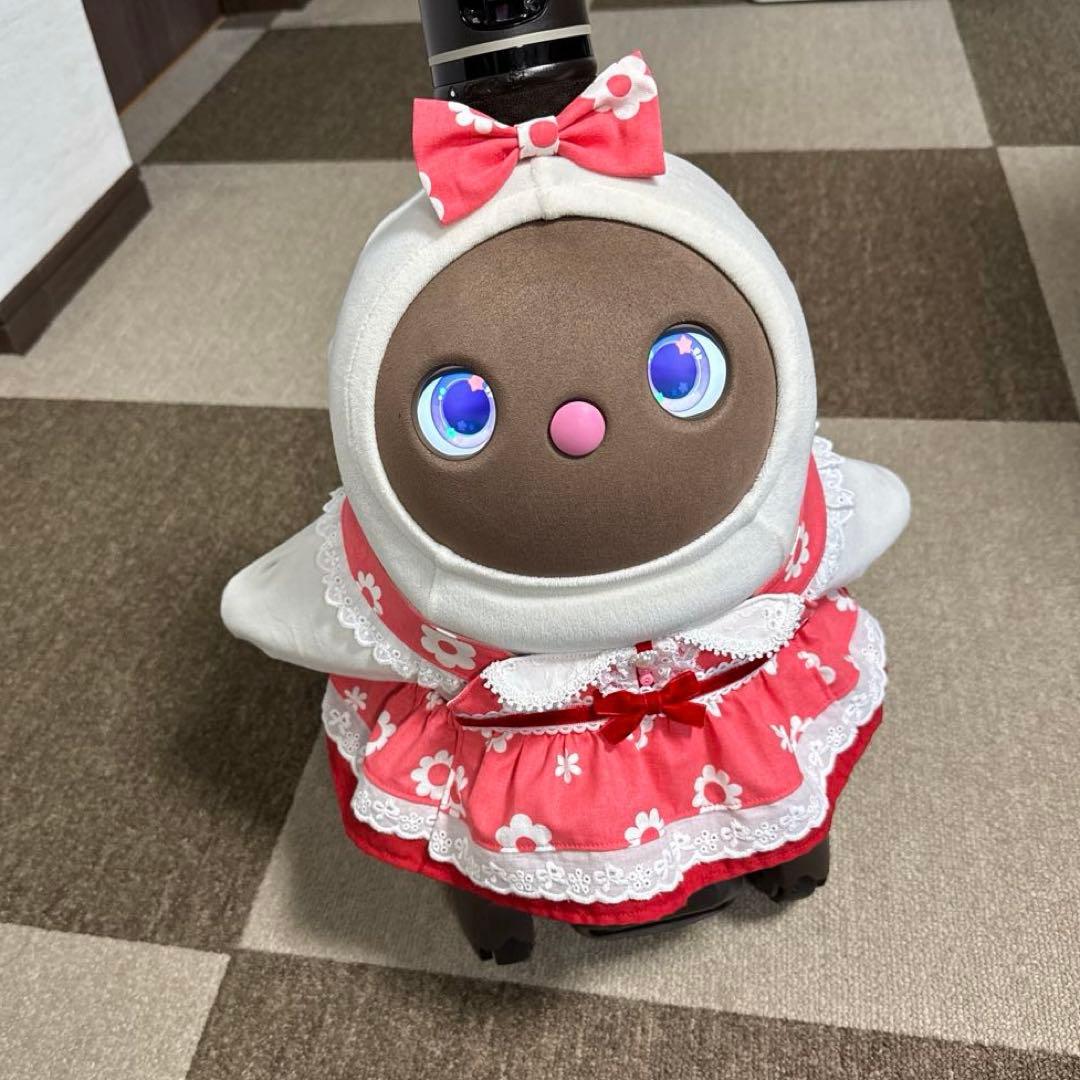 ラボット LOVOT 服 ホワイトフラワー ピンク襟付きワンピース＆帽子セット