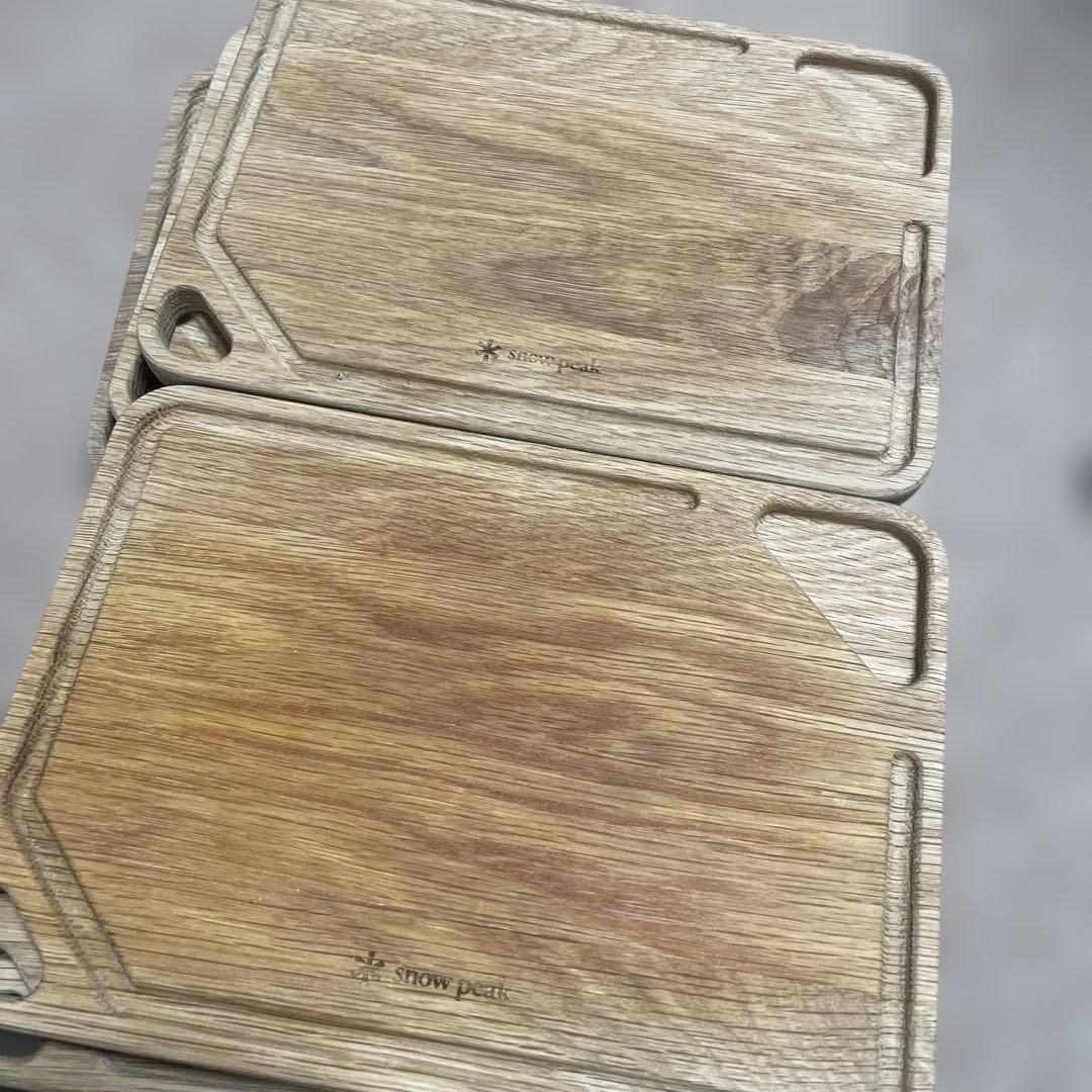 土日特売❗️スノーピーク　マイプレート10枚セット