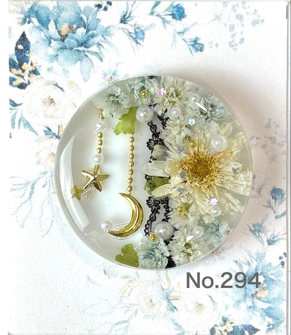 メル30077様　レジンヘアゴム　ポニーフック　ドライフラワー