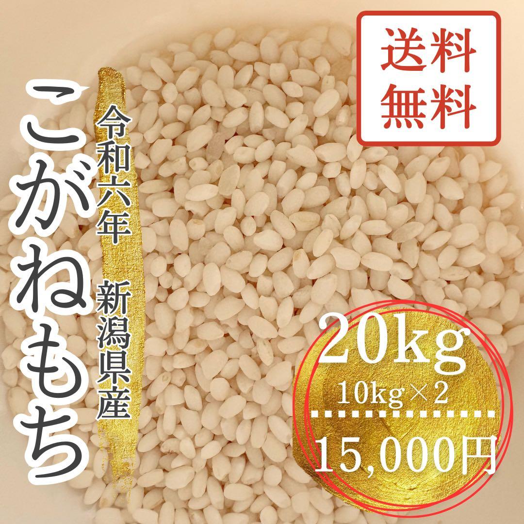 【最終出品】令和6年度　新潟県産 こがねもち 20kg（10キロ×2）
