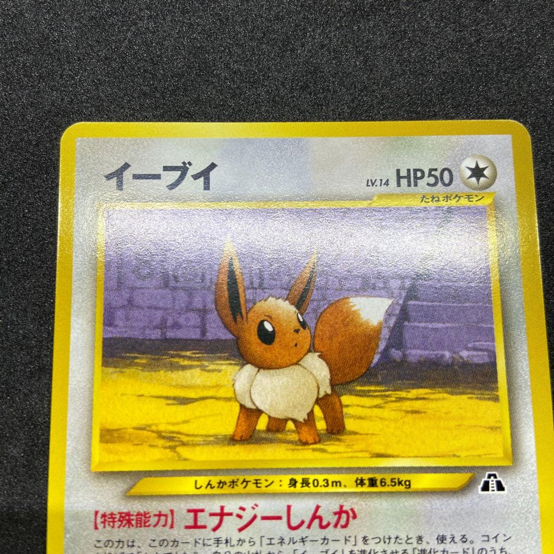 【旧裏ポケモンカード】良品2枚ブラッキー＆イーブイ　プレミアムファイル2 プロモ