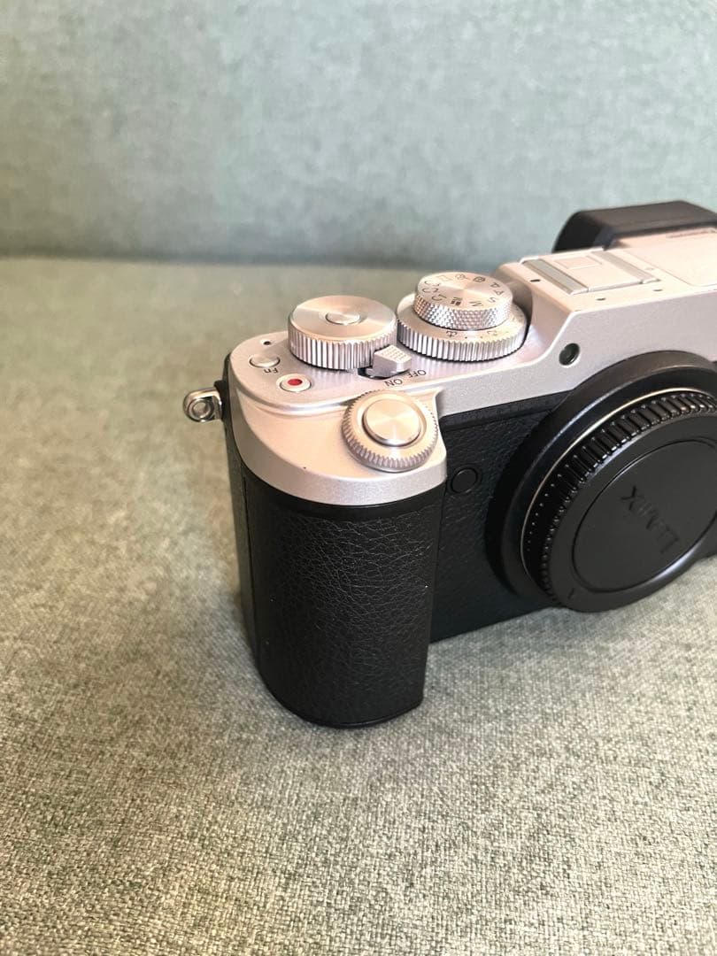 ルミックス LUMIX DMC-GX8 ボディ＋SDカード6枚＋カメラバッグ