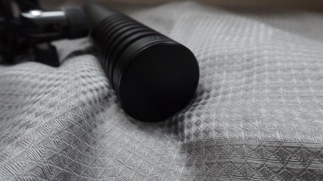 【状態】A ROYER r101 レコーディング　リボンマイク