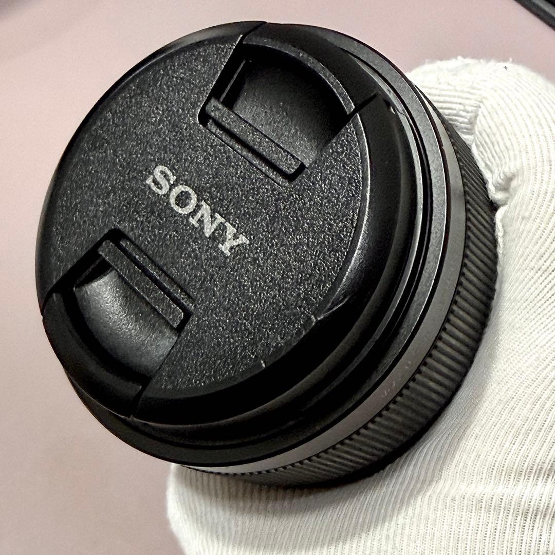 レンズ(単焦点) SONY FE 2.8/100 STF GM OSS / SEL100F28GM