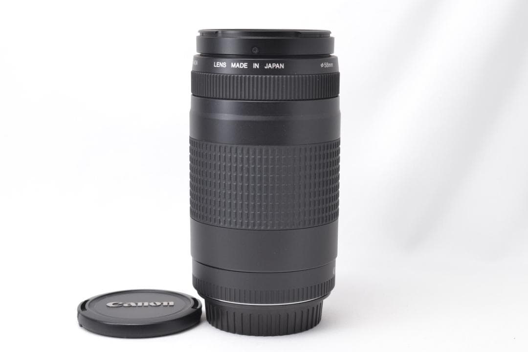 キャノン Canon EF 75-300mm F4-5.6 Ⅱ 望遠レンズ