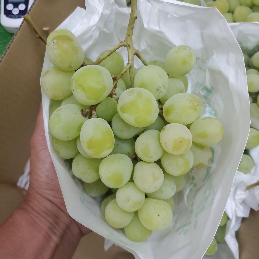 7️⃣ 山梨県産 シャインマスカット ９房入り 箱込み5.8キロ