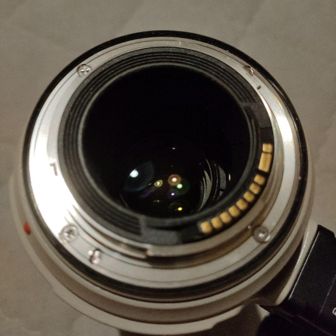 レンズ(ズーム) Canon EF100-400mm F4.5-5.6L IS ll ISM