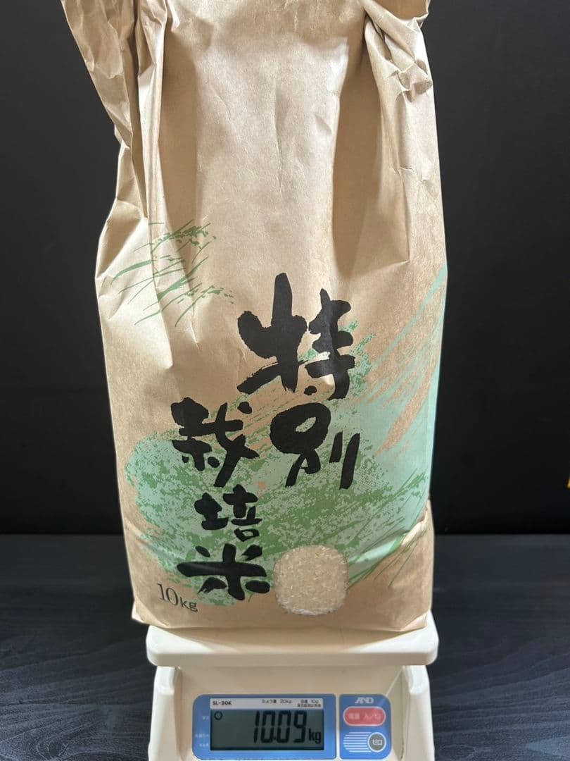 米 石川県産 10kg精米