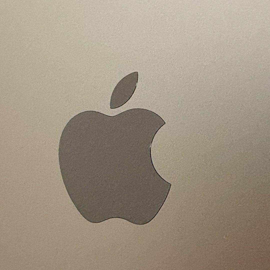 専用ページ　iPad mini 第5世代　本体　64GB 美品　箱付き