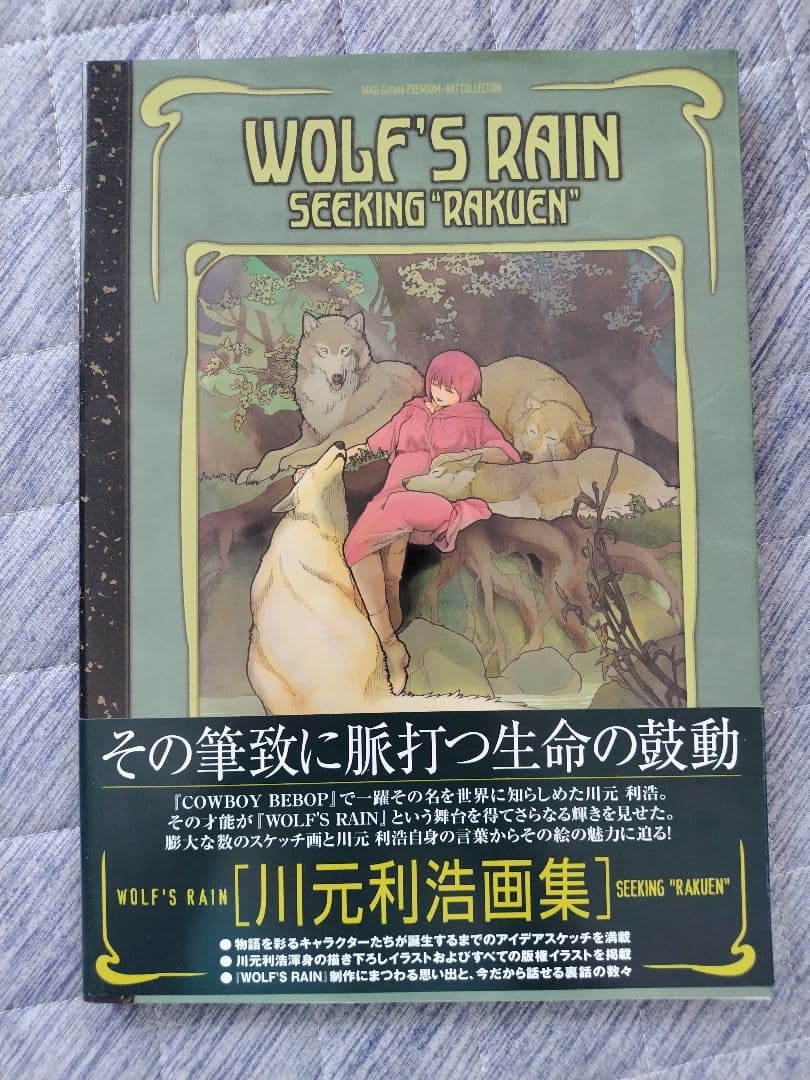 ウルフズレイン : シーキング\