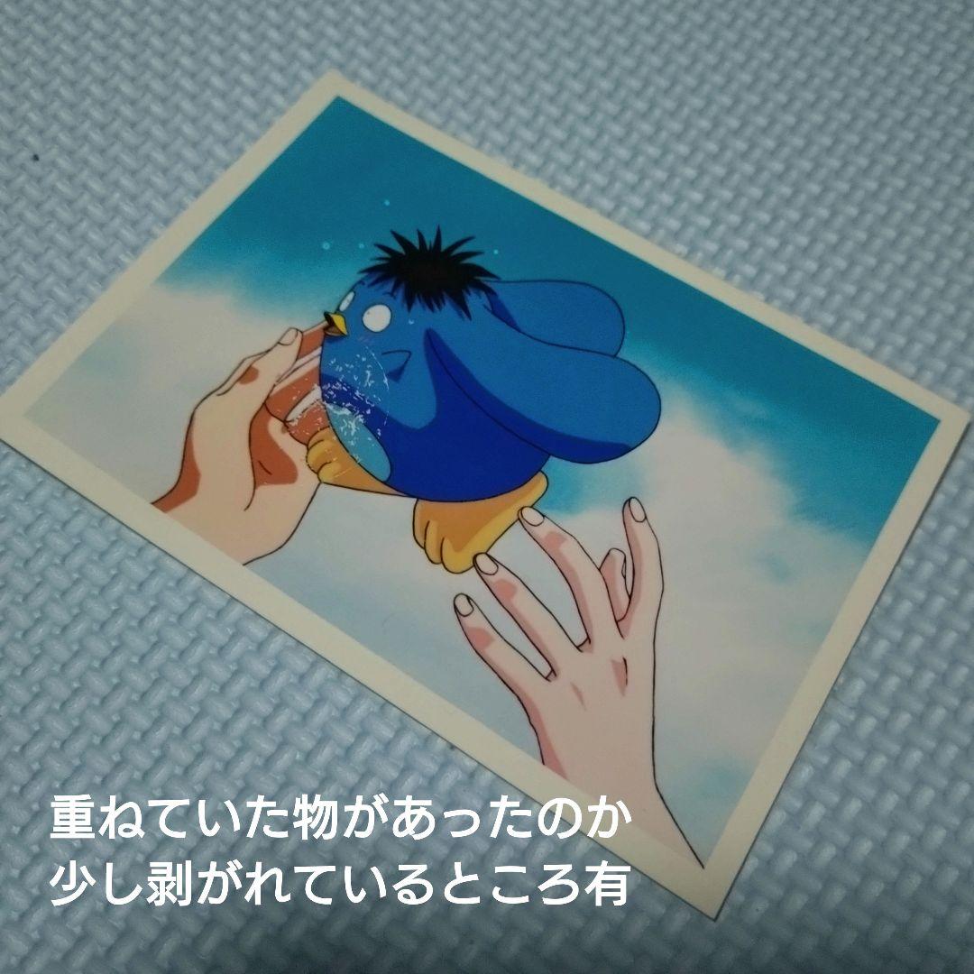 【希少】幽遊白書 VHS購入特典 ED生写真 20枚+6枚【レア】