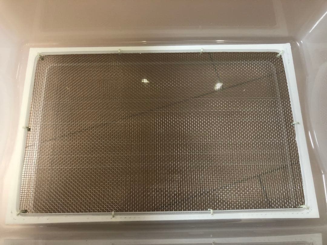 雫工房　フルセット！デュビア用飼育・繁殖ケージ　大型　二重底上段メッシュ底構造