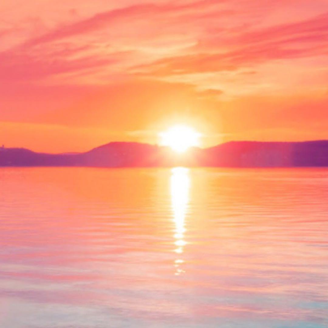 もずく　ぺージ