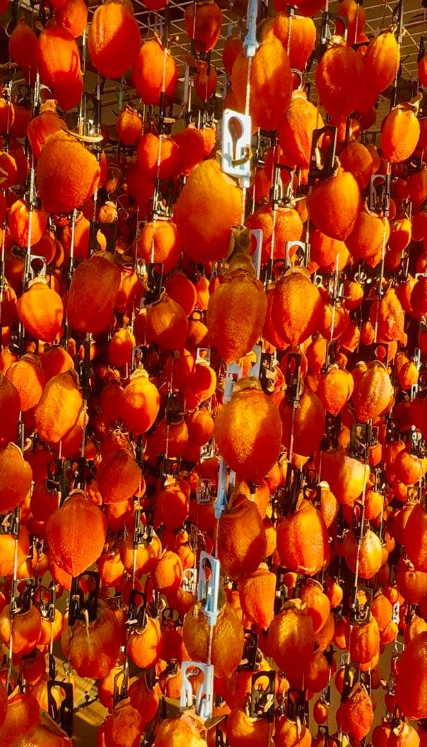 市田柿 干し柿 12袋セット 3kg