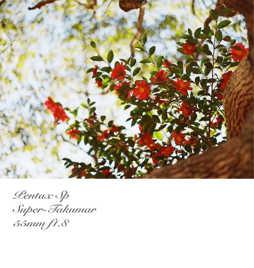 専用出品★pentax sp フルセット+smc takumar 28mm