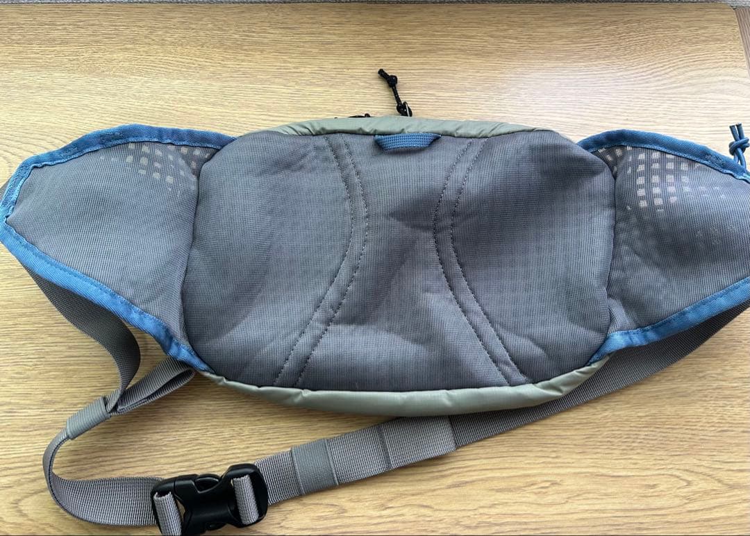 【美品】 パタゴニア テラヴィア・ヒップ・パック 5L