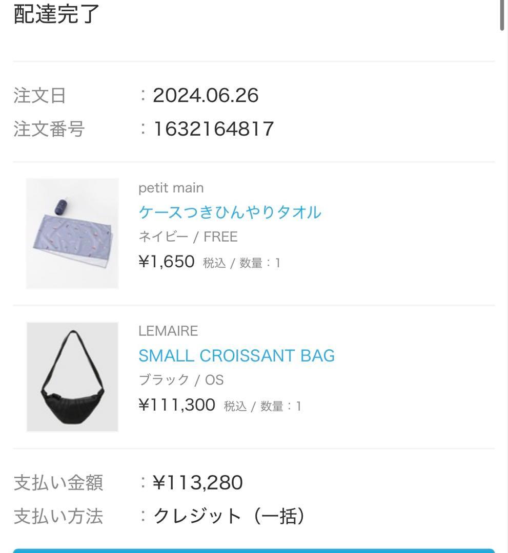 Lemaire ルメール クロスボディバッグ SMALL