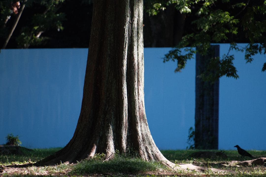 【年末値下げ】TAMRON タムロン 18-300mm F3.5-6.3