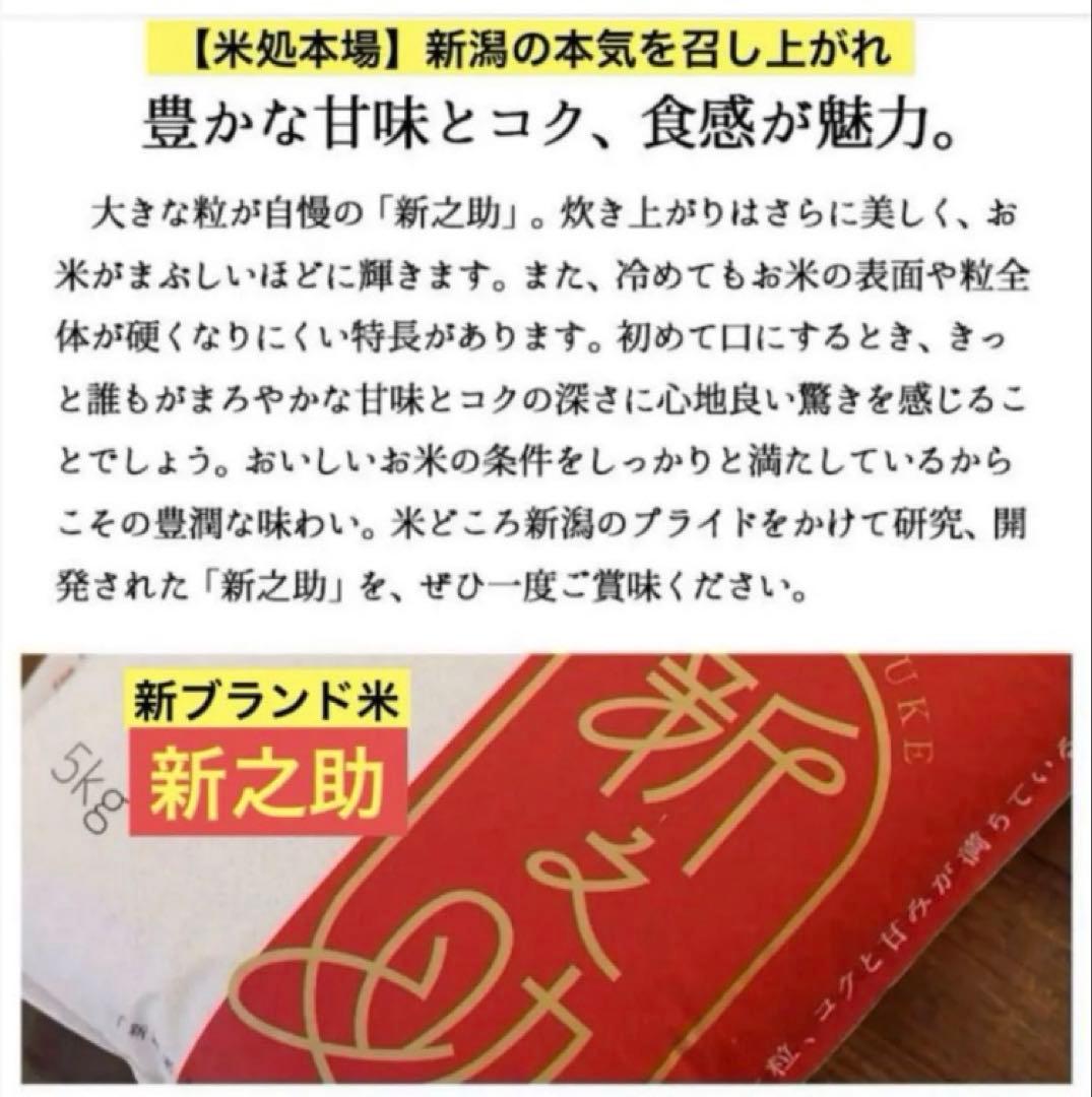 【土日限定】新潟の新ブランド米『新之助』10kg(5kg×2袋)★送料無料★