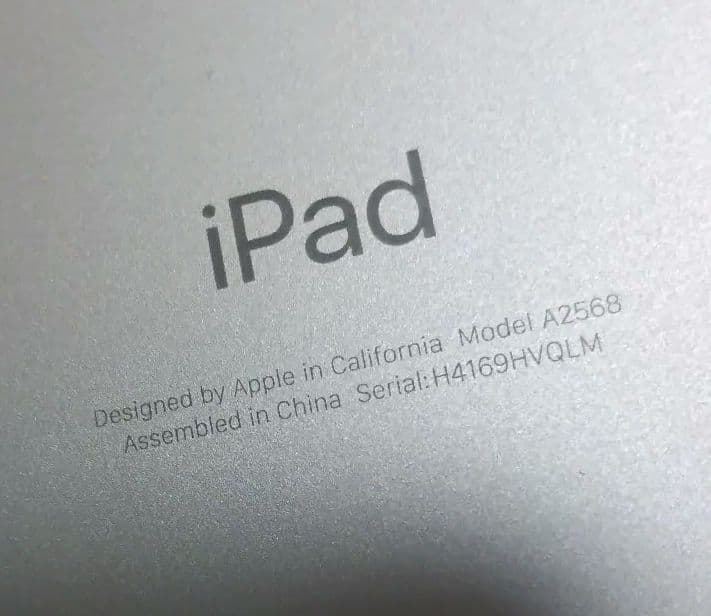 iPad mini6 256 セルラー Cellular