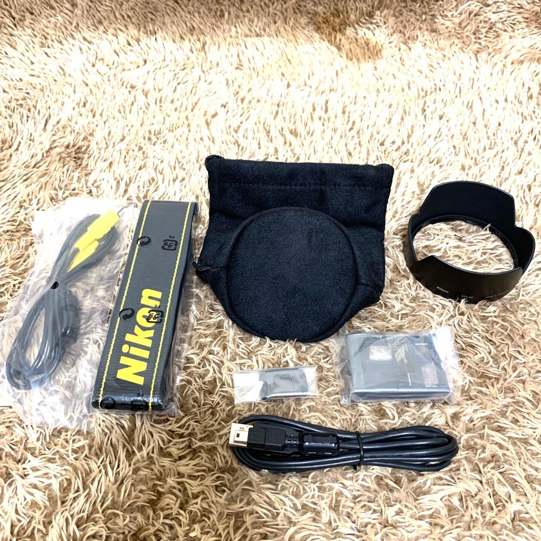 【美品】Nikon D70 18-70mm レンズキット 箱付属品完備