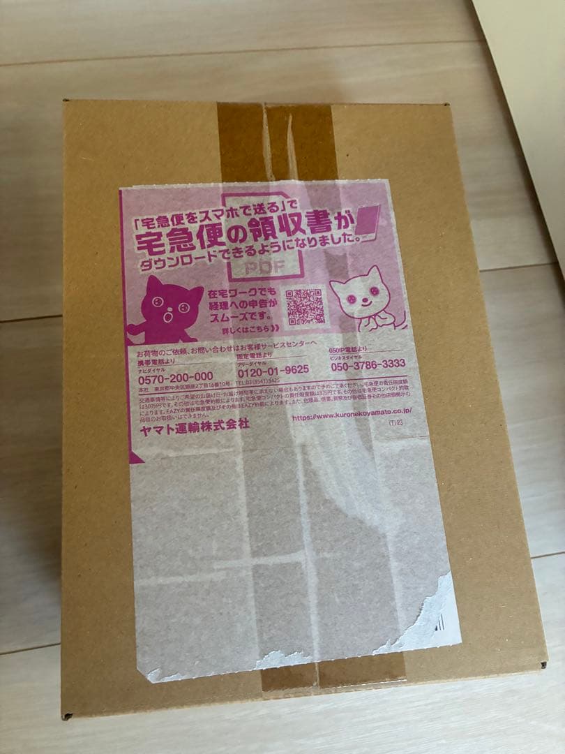 【早い者勝ち】ポケセン産ポケモンカードゲーム MEGAドリームEX ボックス