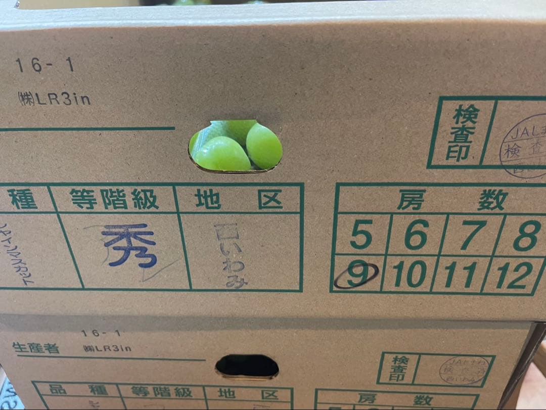 ⑦【島根県産】シャインマスカット約5キロ