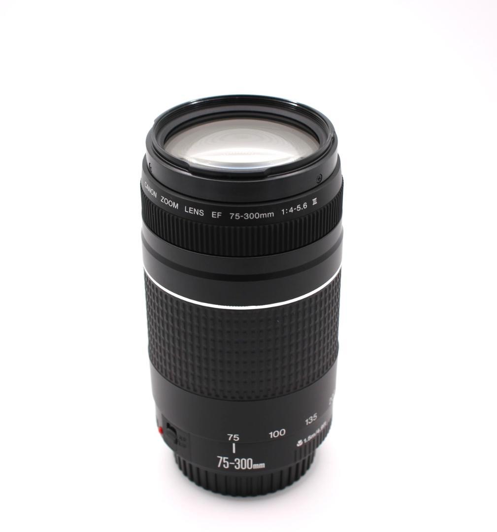 ☆美品☆ Canon EF75-300mm F4-5.6 III 望遠ズーム