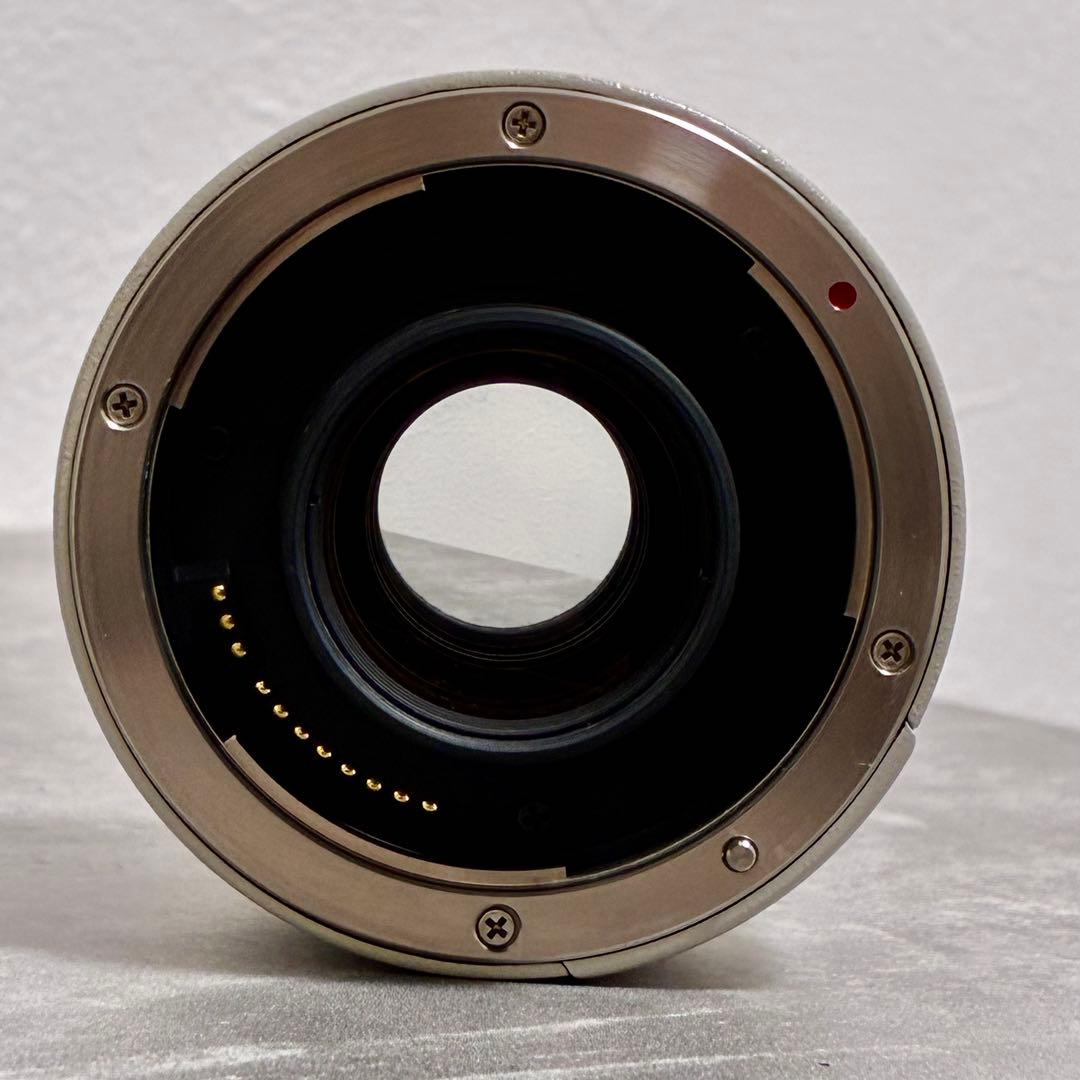 ⭐️美品⭐️ キャノン CANON EXTENDER EF 2x エクステンダー