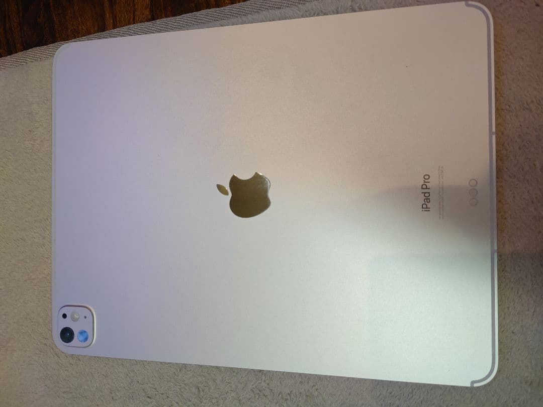 Apple iPad Pro１３インチ シルバー 本体 箱付きM4新品