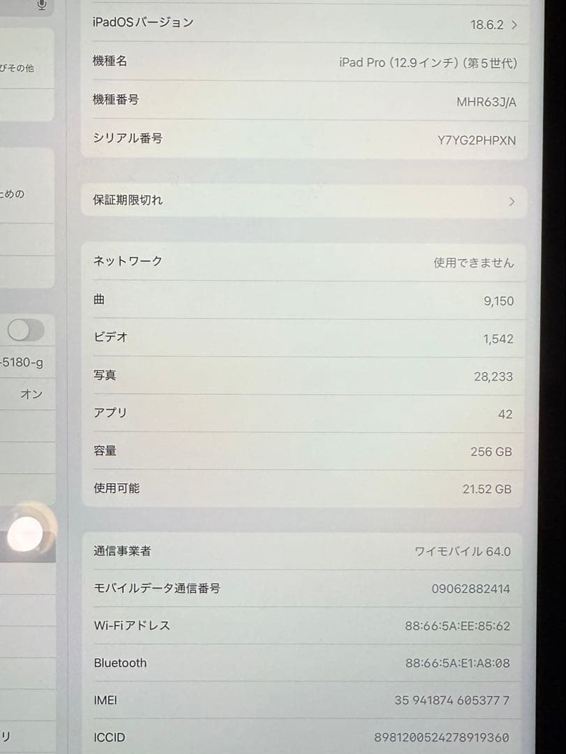 iPad本体 iPad Pro12.9 256GB cellular Apple pencil