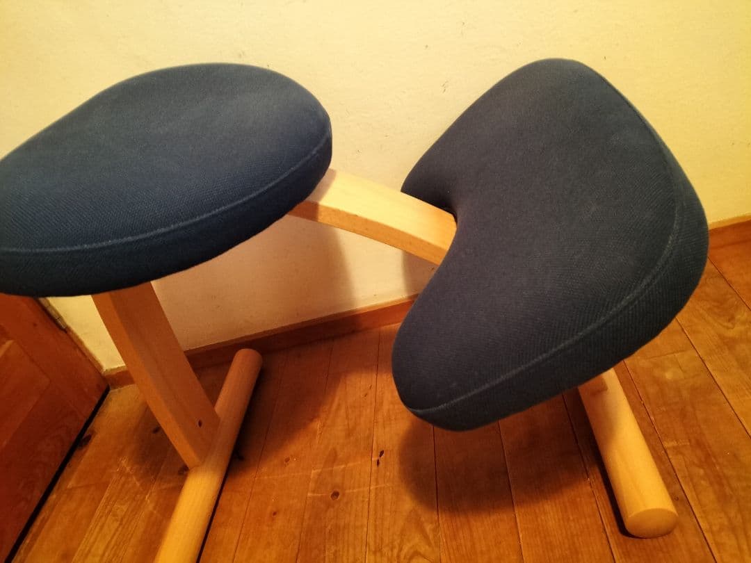 balans Easy 骨盤・姿勢矯正用チェア ネイビー　説明書付属