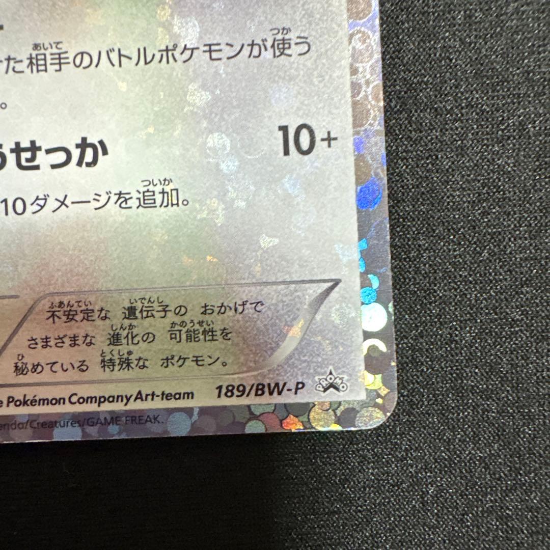 イーブイ ホロカード　ポケモンカード