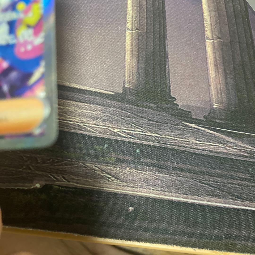 カナリィ トレーナーズカード SAR 248/193